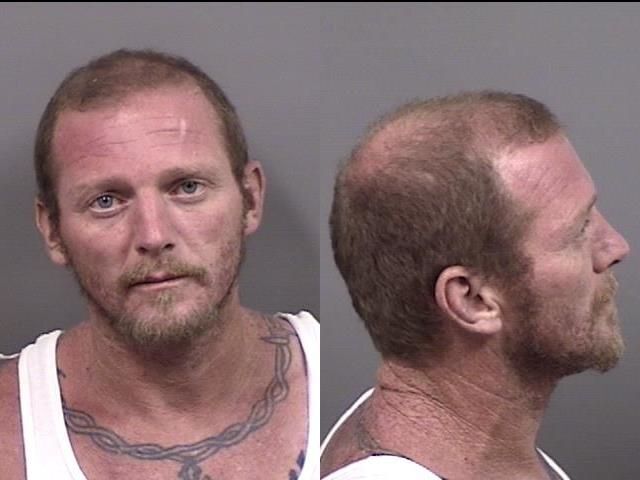 Michael Lettieri Jr. arrested Nov. 13 on a felony charge of hindering communication to law enforcement and a misdemeanor charge of domestic battery.